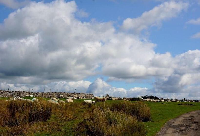 住宿加早餐 High Greenside