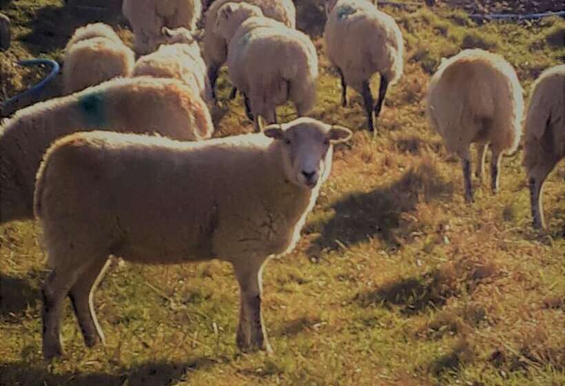 住宿加早餐 High Greenside