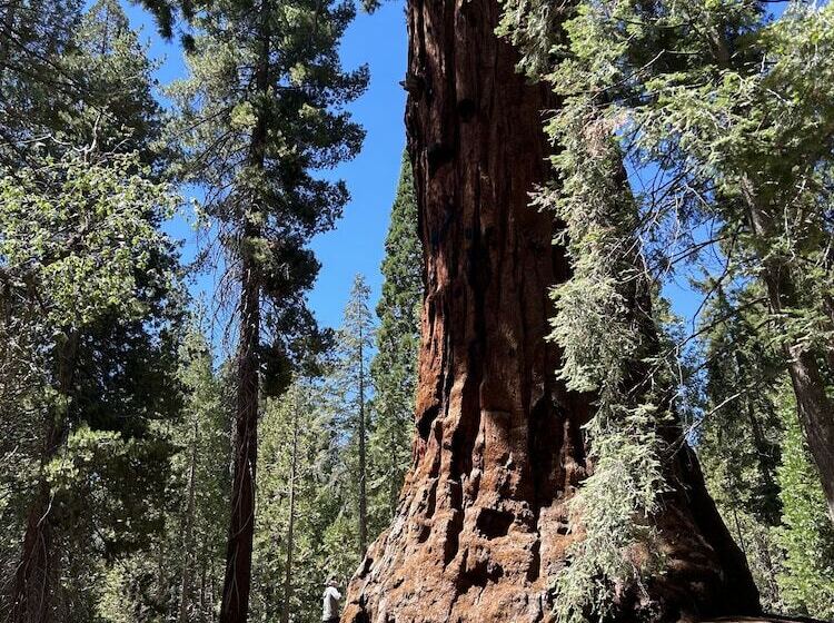 Отель Socal Camping