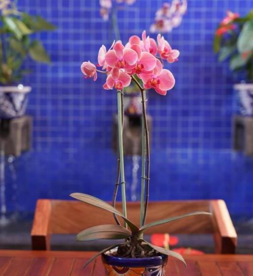 צימר Casa Alfareros