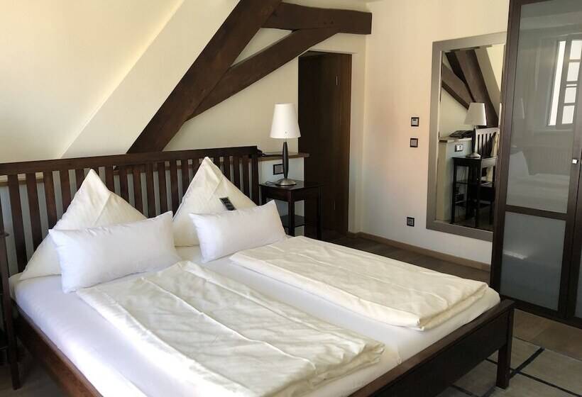 ホテル Centrinum Altstadt