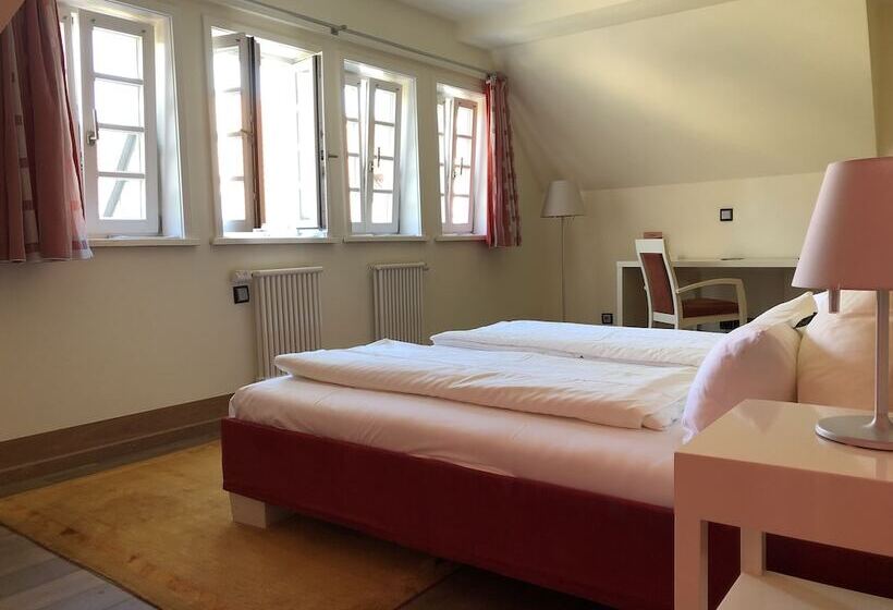 ホテル Centrinum Altstadt