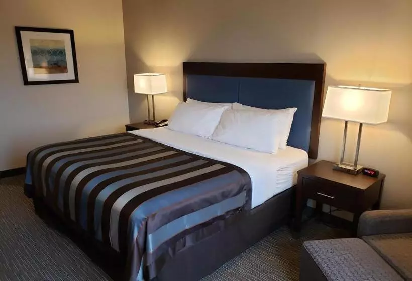 Hotelli Wingate By Wyndham Christiansburg