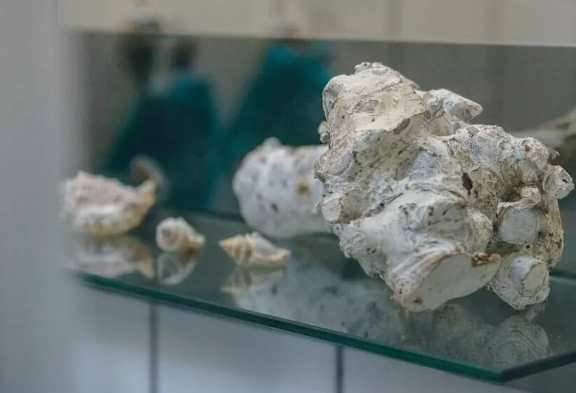 Nordstern Restaurant & Pension