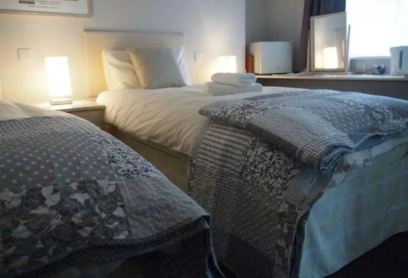 هاستل The Jenny Lind