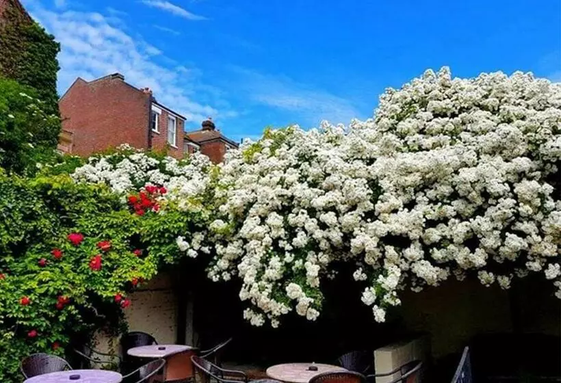 هاستل The Jenny Lind