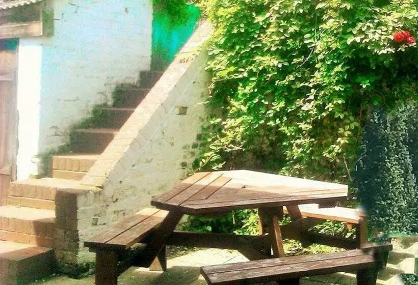 هاستل The Jenny Lind