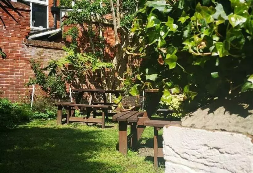 هاستل The Jenny Lind