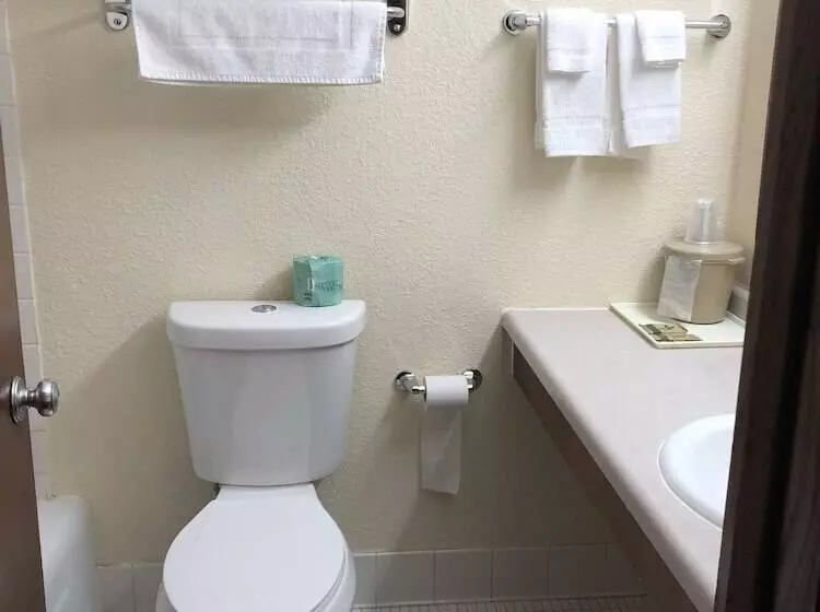 Hotelli Amerivu Inn & Suites