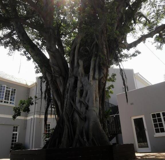 פנסיון Dawson Manor Guest House