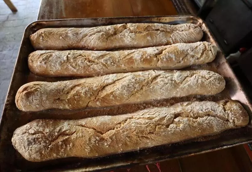 استراحتگاه Seabreeze Inn