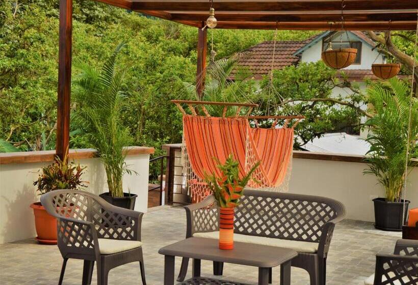 Toucan Platinum Suites Apart