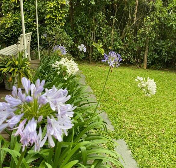 膳宿费 Solar 197 Pousada