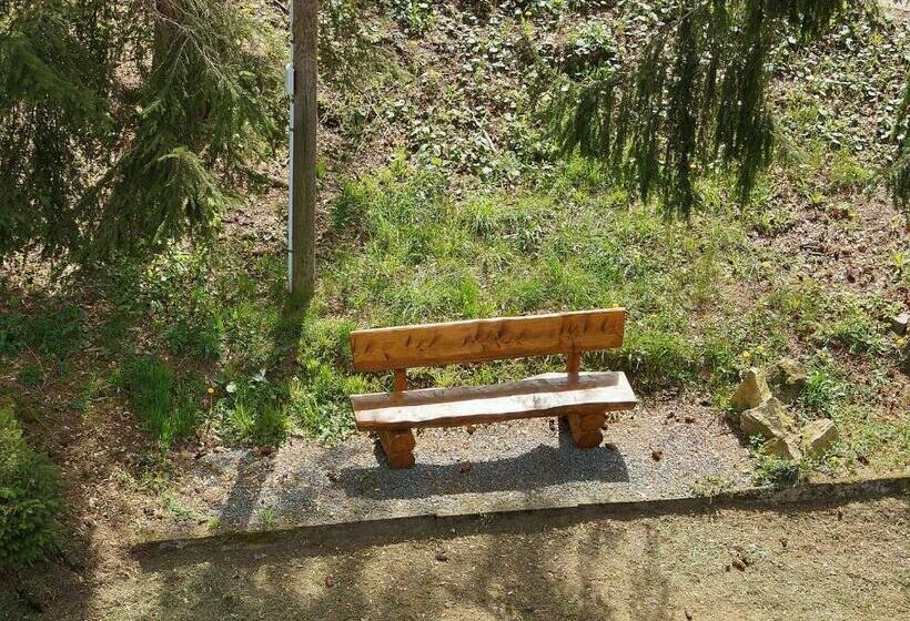 Erzgebirgshotel Misnia Bärenfels