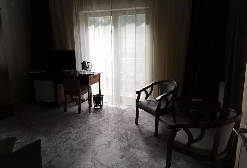 ホテル Pensiunea Jojo Imperial Resort&spa