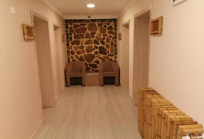ホテル Pensiunea Jojo Imperial Resort&spa