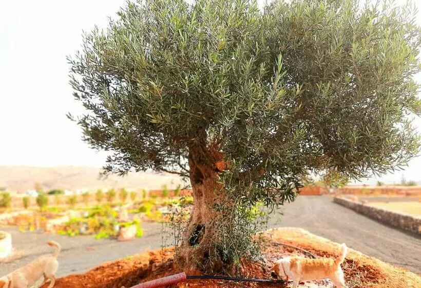 Majatalo Agriturismo El Bounty