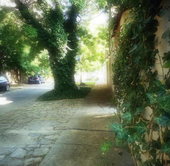 پانسیون Centar