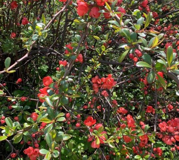 膳宿费 Penzion Kozí Horka U Brněnské Přehrady