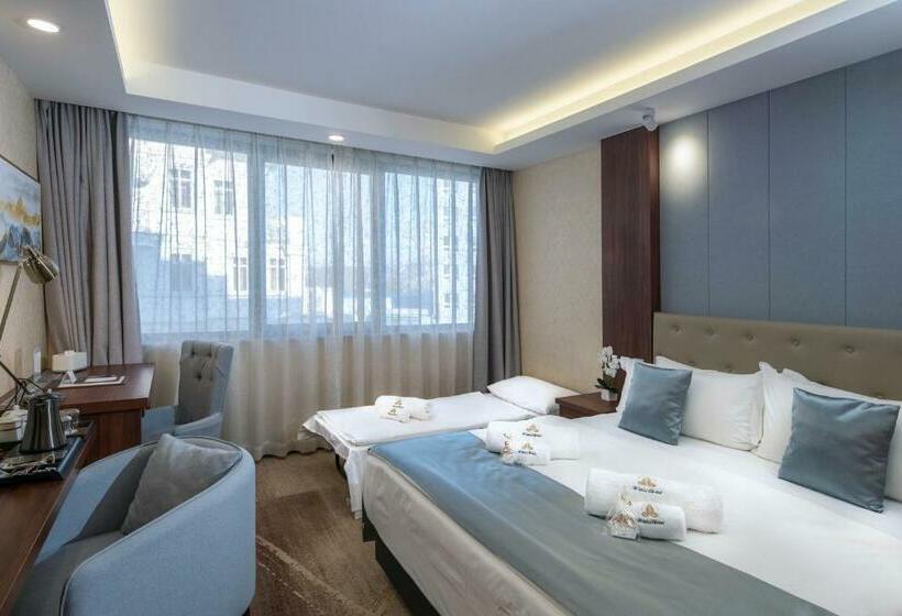 Willis Hotel Business & Wellness