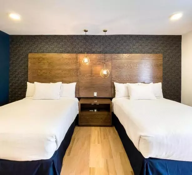 هتل Gran Plaza & Convention Center