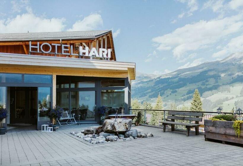 هتل Hari Im Schlegeli