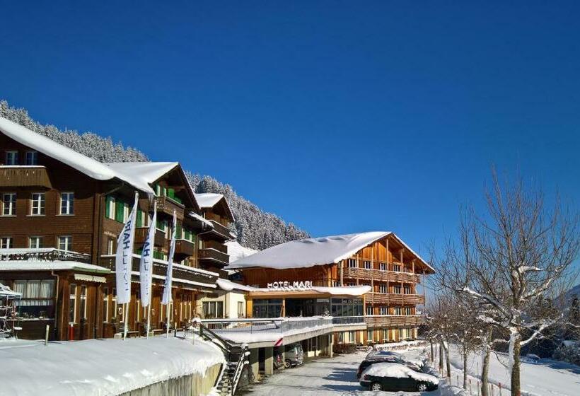 هتل Hari Im Schlegeli