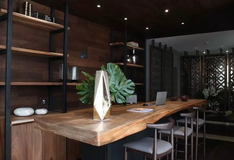 هتل Suites México Plaza León Campestre