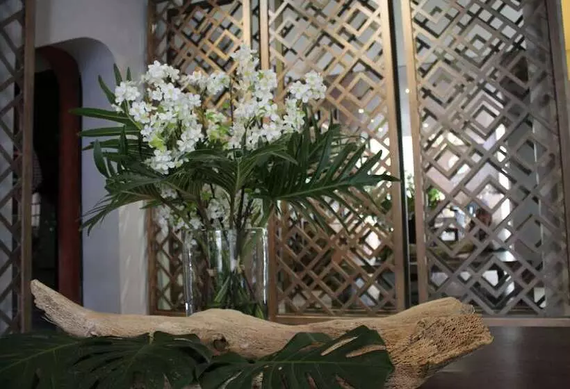 هتل Suites México Plaza León Campestre