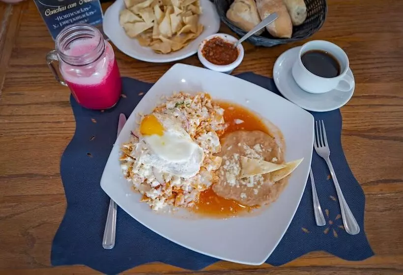 هتل Suites México Plaza León Campestre