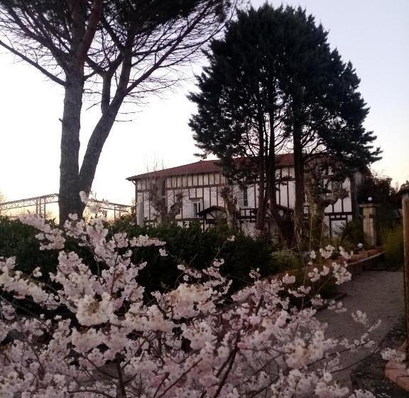 צימר Hostelry Music Repetition