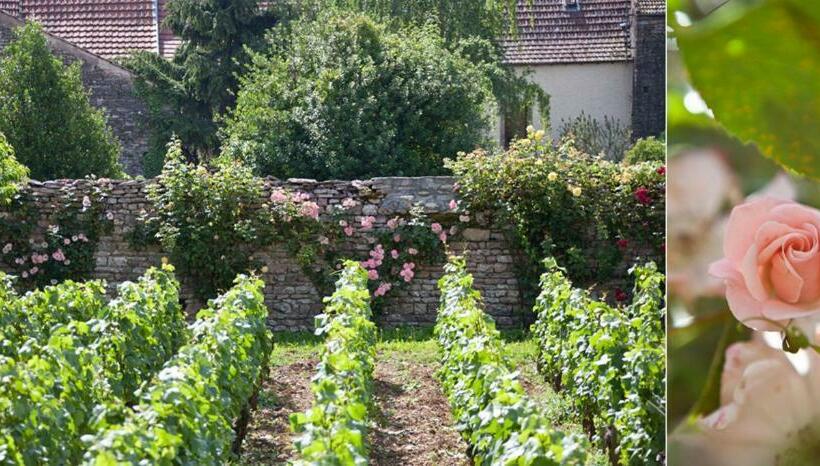 مبيت وإفطار Domaine Violot Guillemard