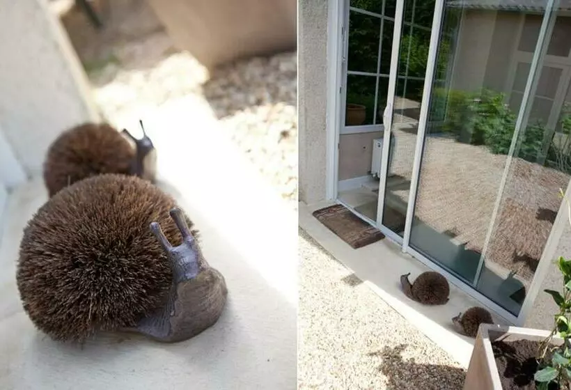 ベッドアンドブレックファースト Domaine Violot Guillemard