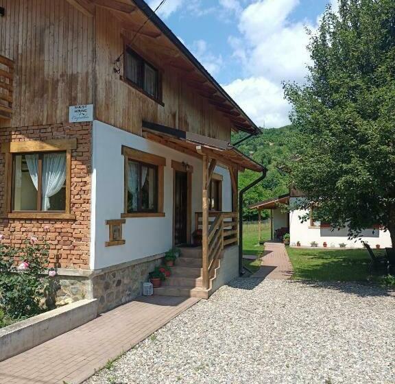 پانسیون Guest House Carpathia