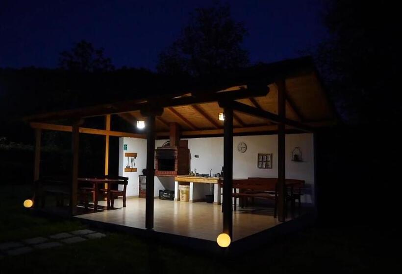 پانسیون Guest House Carpathia