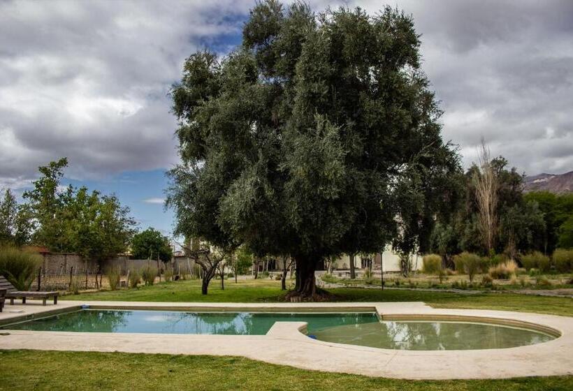 Vieja Posada Hotel Histórico