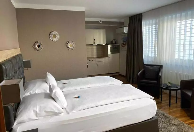 Zum Ziel Hotel Grenzach Wyhlen Bei Basel