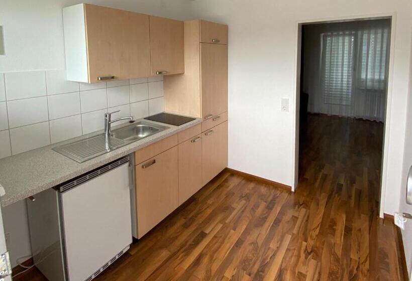 Zum Ziel Hotel Grenzach Wyhlen Bei Basel