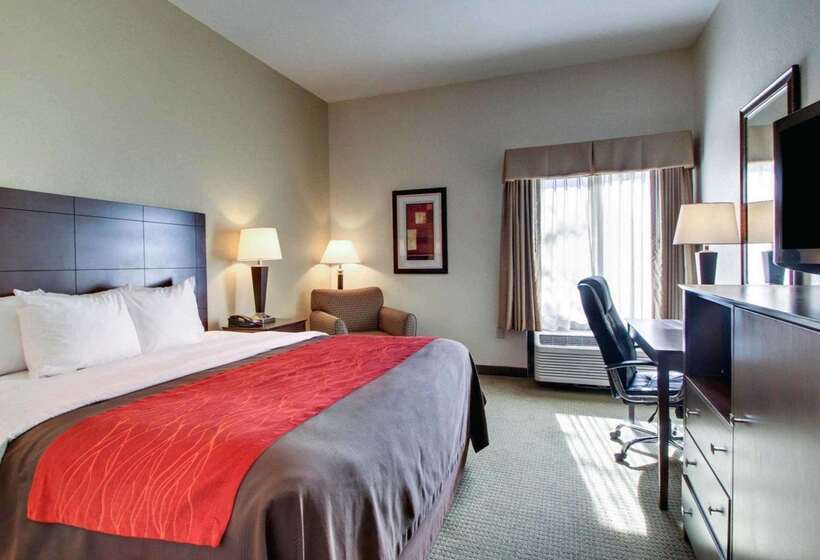 ホテル Comfort Inn Moss Point Pascagoula