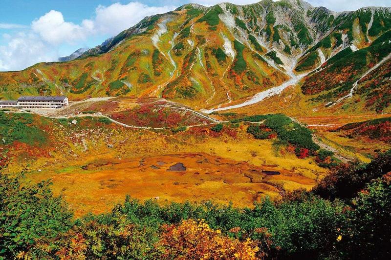 ホテル Kongoji Syukubo Seihoin