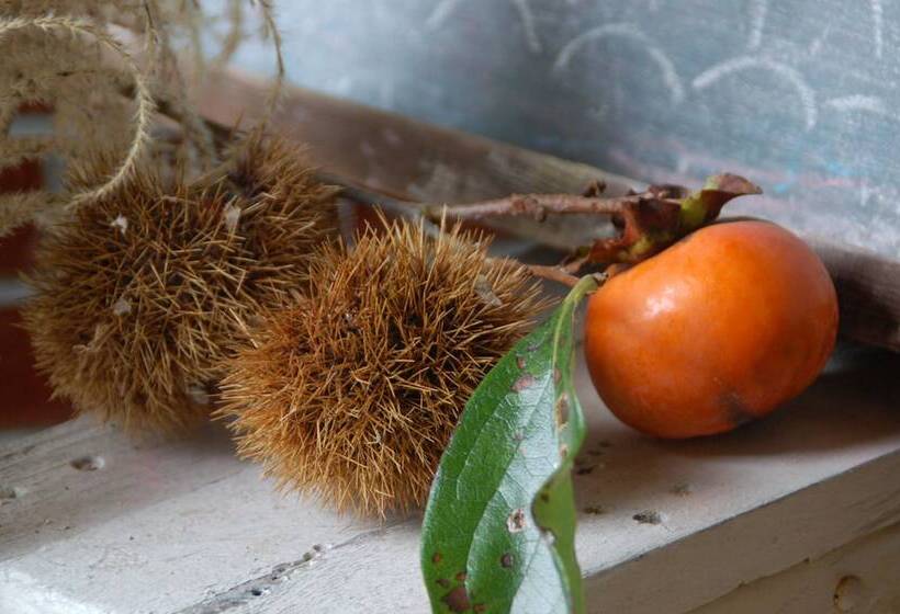 בית מלון כפרי Tabinoya