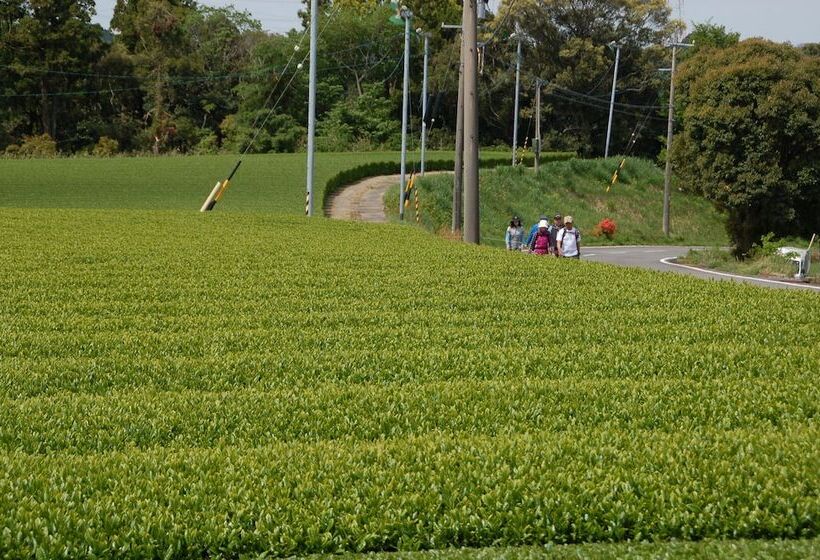 בית מלון כפרי Tabinoya