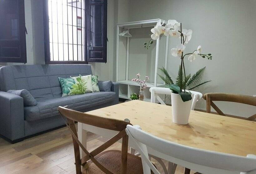 Apartamentos Alhambra Granada 3000