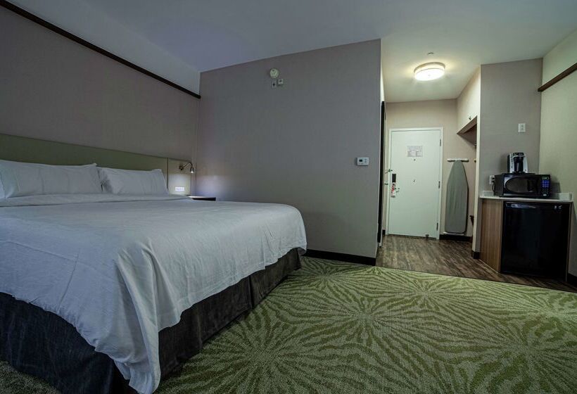 فندق Hilton Garden Inn Montreal Airport