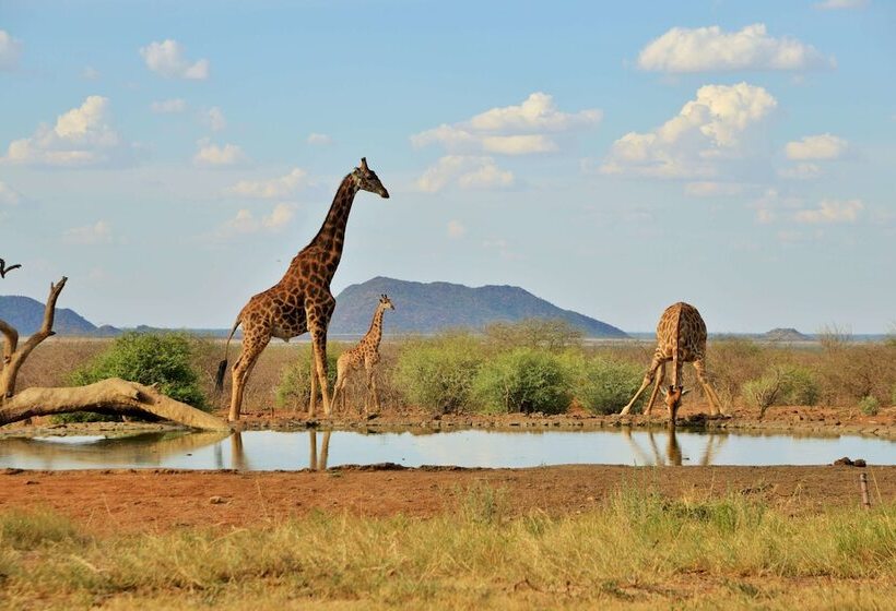 호텔 Last Word Madikwe