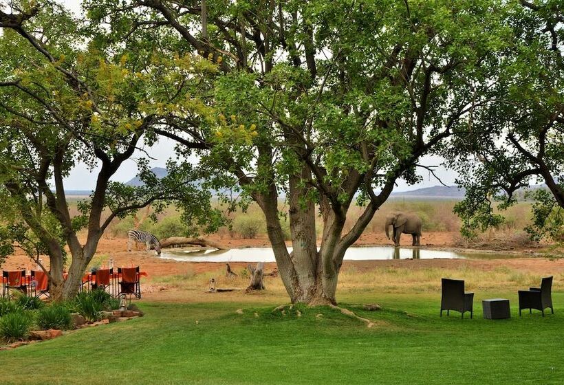 호텔 Last Word Madikwe