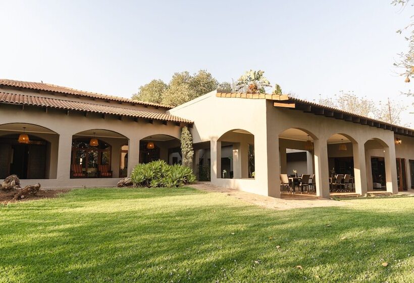 酒店 Last Word Madikwe