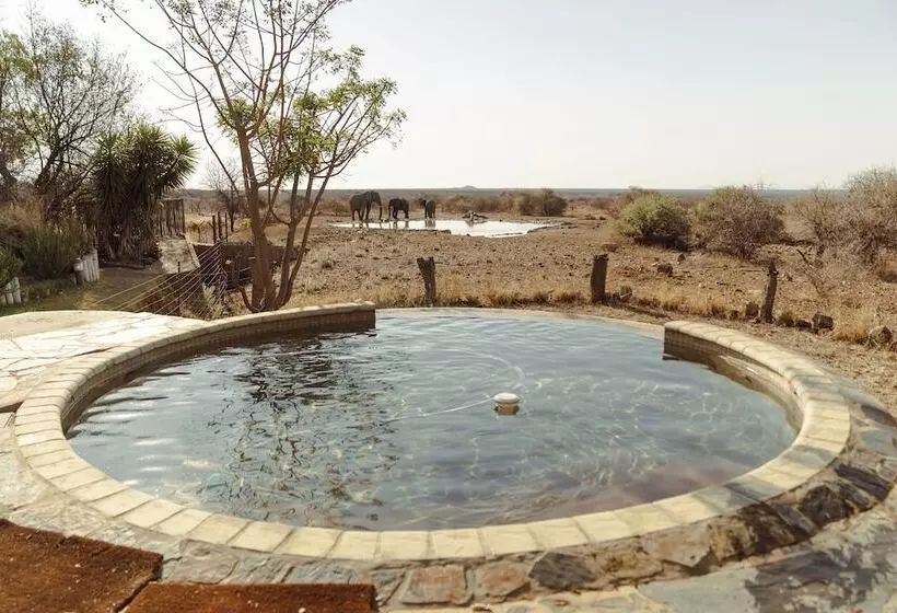 Hotelli Last Word Madikwe