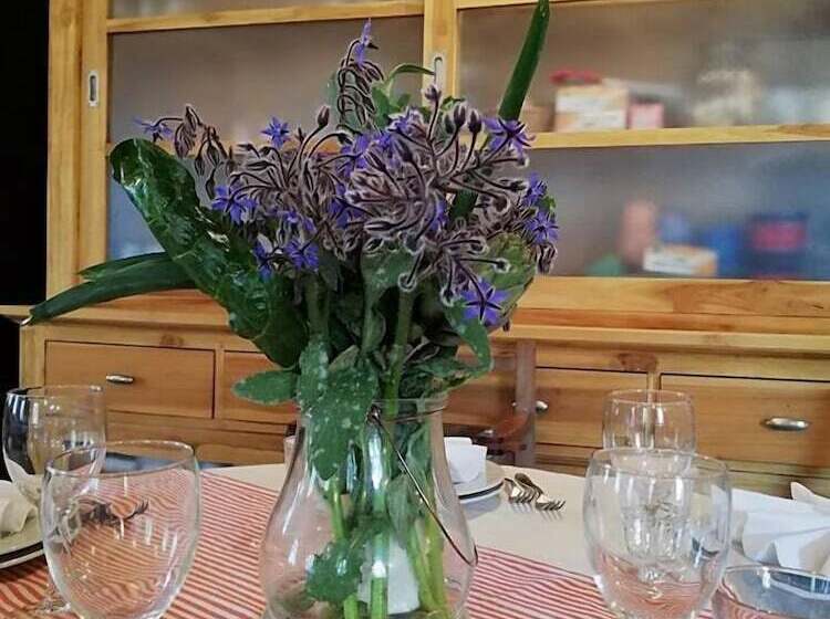 בית מלון כפרי Agriturismo Le Macine