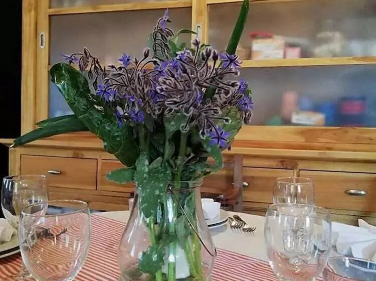 田舎風ホテル Agriturismo Le Macine